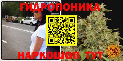 эйфоретик Бугуруслан